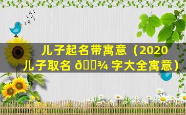 儿子起名带寓意（2020儿子取名 🌾 字大全寓意）